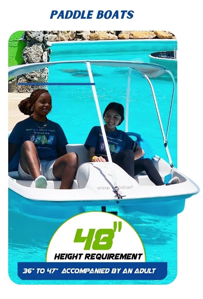 Copy of Copy of New peddal boats - 1